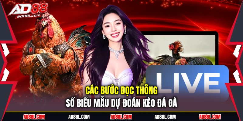 Các bước đọc thông số biểu mẫu dự đoán kèo đá gà