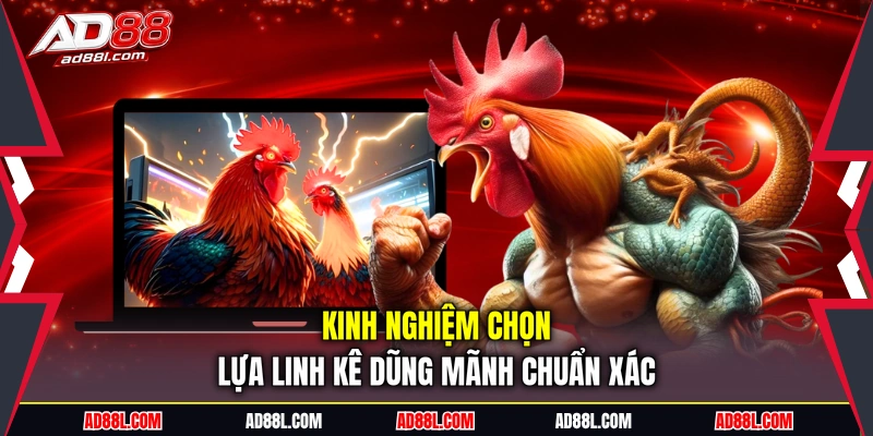 Kinh nghiệm chọn lựa linh kê dũng mãnh chuẩn xác