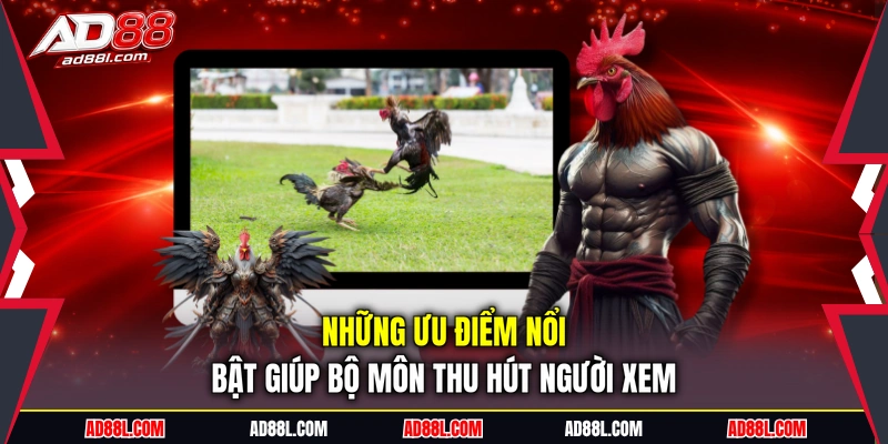 Những ưu điểm nổi bật giúp bộ môn thu hút người xem