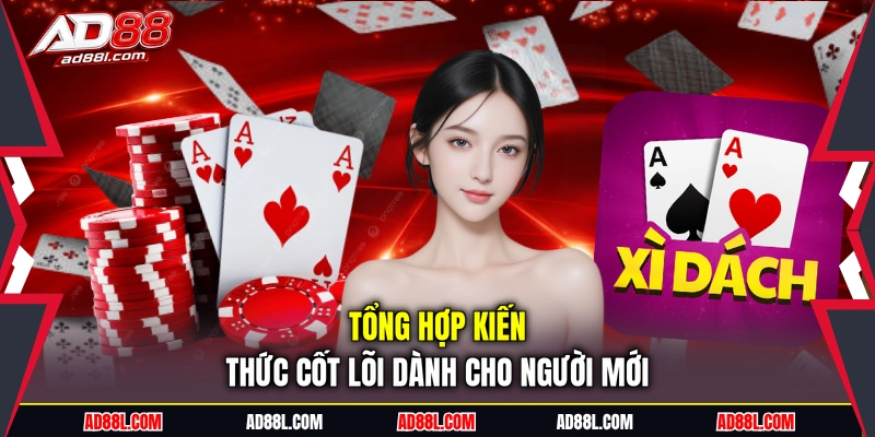 Tổng hợp kiến thức cốt lõi dành cho người mới